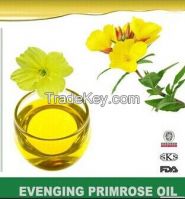 evening primrose oil