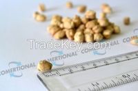 Blanco Sinaloa Chickpeas CIF Jeddah Port