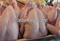 Whole Frozen Chicken Halal