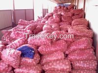 Fresh Vegetables for Sale Red Onions For Sale 