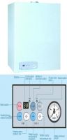 Wall hung gas boiler