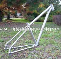 Titanium Bike Frame 29er MTB Frame