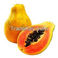 Fresh Papaya