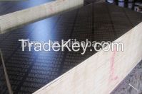 film faced plywood/construction plywood/marine plywood black/brown film