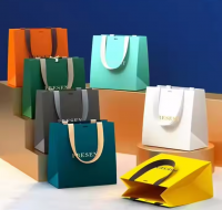 Wholesale Custom Printed Paper Gift Bags with Handles for Retail Packaging