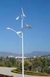 100W LED Wind Solar Street Light