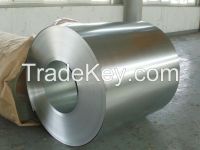 Hot Dipped Galvanized Steel Strip