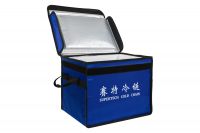 Fashion Insulated Collapsible Cooler Bag For