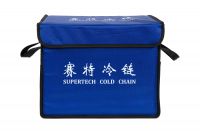 Customizable Insulated Collapsible Cooler Bag Picnic