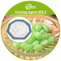 Cooling Agent WS-5 (CAS 68489-09-8) | High-Intensity Cooling Flavor Ingredient | Food &amp;amp; Personal Care Grade