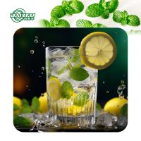 Menthyl Lactate | Food Grade Cooling Aroma Compound | Mint Cooling Flavor Ingredient