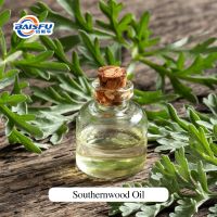 Natural Southernwood Oil Artemisia Abrotanum Essential