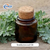 Natural Southernwood Oil Artemisia Abrotanum Essential