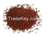 Finger millet