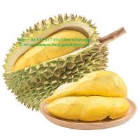 Viet Nam Fresh Durian Fruit Whatsapp 0084935027124