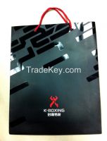 Shopping Paper Bag (2015 New Luxury Bags for Cloth)