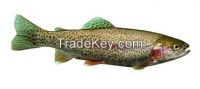 Trout Fish