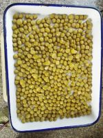 Canned grean  peas