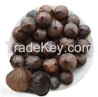 black garlic