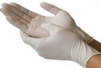 Latex Gloves  ( powder &amp; powder free )