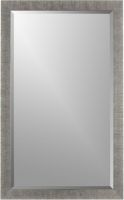 Silver Mirror