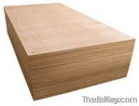 commercial plywood