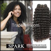 kinky curly virgin human hair