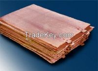 Copper Cathodes