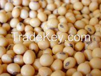 soybeans