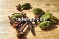 CLOVES (WHOLE &amp; POWDER)