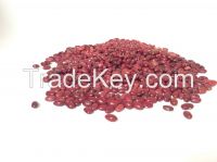 Ethiopian red kidney bean