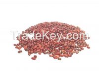 Ethiopian red kidney bean