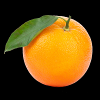 Fresh Orange