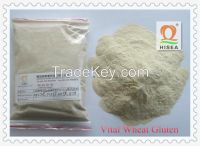 Manufacture of Vital Wheat Gluten