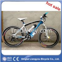 Popular Electric Mountain Bicycle with Wholesale Price