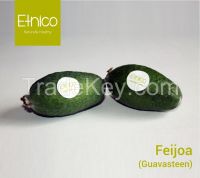 Feijoa ( Guavasteen)