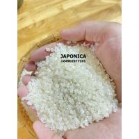 Japonica Rice / Sushi Rice