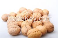 2014 new crop walnut in shell and kernel