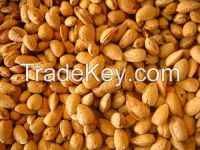 california almond 2014 new crop best price