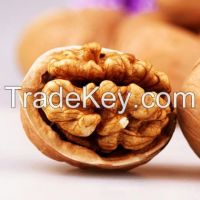 walnut 