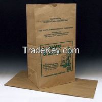 Biodegradable Lawn Leaf Paper Bag Small