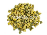 Fetail Chrysanthemum ramat tea