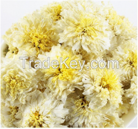 Dry tai ju chrysanthemum