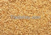 Soft Milling Wheat, 1st Grade