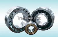 Cylindrical Roller Bearings