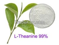 L-Theanine 99%