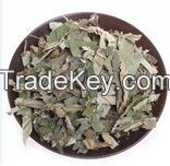 Weight Loss Herbal Medicine Lotus Leaf Tea