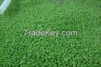 High quality green mung beans specification