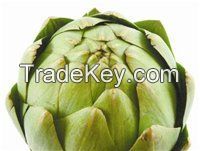 Artichoke (Dried)