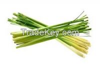 Lemongrass Leaf